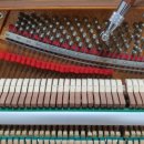 홍천아산병원 이미지