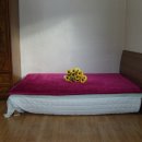 감나무집민박 이미지