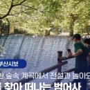 숲속계곡 이미지