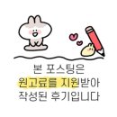 대구강아지분양 도로시펫 | 대구강아지분양 &#39;대구강아지분양 도로시펫&#39; 방문 후기
