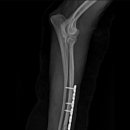 24시 에피소드 동물 메디컬 센터 이미지