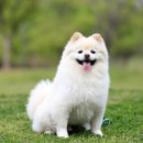 온유동물병원 이미지