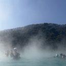 둥지치킨 | 리솜 둥지치킨 후기, 리솜 배달 추천, 매콤한맛/치즈볼후기