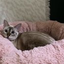 MJ캐터리 이미지