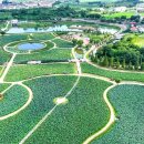 연꽃테마파크 이미지