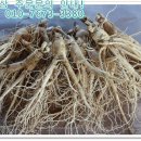 금산인삼 이미지