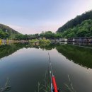 도장골낚시터 | 요즘 핫한 도장골낚시터 - 향어 잡이터