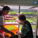 예촌경로당 이미지