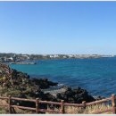 제주 올레길 16코스 이미지