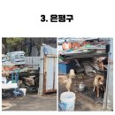 수색로24길 이미지