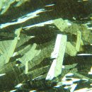 ﻿광물학 5: 광학 광물학 5.4: 석유 현미경 5.4.2: 평면(PP) 편광 및 교차 편광(XP) 조명 이미지