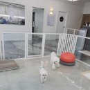 리츠펫 향남점 이미지