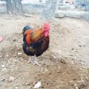 희재농장 이미지