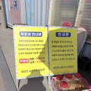 남면 작은도서관 | [충남] 태안 아이와 가볼 만한 곳 갯벌체험 진산리 어촌계 후기(물때, 준비물, 꿀팁)