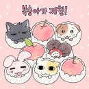 더문 이미지