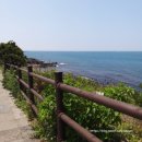 해원렌트카 이미지