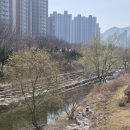 신매장날