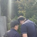 호진상사 이미지