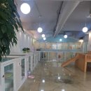 러블리독 이미지