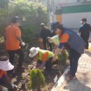 대불노인복지관 이미지