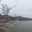 지금 시작하는 나만의 수채화 이미지