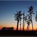 아그리나 시즌2 이미지