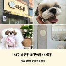 다드몽 이미지