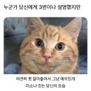 레츠고학원 | 🚖 뉴강남자동차전문학원 생생 후기 - 직장인인 당신도 면허 딸 수 있다!