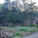 보현산2농장 이미지