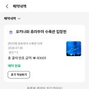 아기상어수족관 | 34개월 아기와 다녀온 오키나와 추라우미 수족관 후기｜고래상어·돌고래쇼·주차 꿀팁