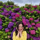 동광리-16 이미지