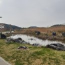 서천-9 이미지