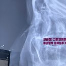 라스트성형외과의원 이미지