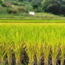 평택항마린센터 이미지