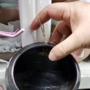 멜랑주 | (일상)먹거리, 볼거리, 즐길거리가 한곳에서 가능한 "더이진" 방문 후기