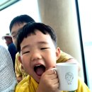 워크라인 | 가족여행시 커플티를 만들고 싶어 온열공방 라인워크로 4인가족 티셔츠 만든 후기