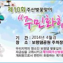 주산벚꽃축제 (충남 보령) 이미지