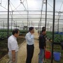 고하농장 이미지