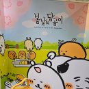 홍대 농담 이미지