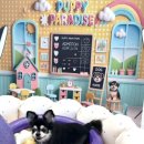퍼피파라다이스 네이버블로그