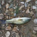 모차호텔 이미지