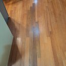 맑은아침 이미지