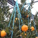 파란농장 이미지