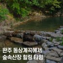 원두막산장 | 완주 동상계곡 물놀이, 숲속산장 평상 힐링 체험기