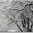 언덕위의하얀집 이미지