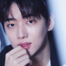 재찬 카카오 검색결과