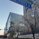 분당-108 | [분당 정자동 맛집] 분위기에 취하고 맛에 감탄하는 정자동 이자카야 ‘카노유메’ 솔직 후기