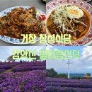 거창군청 | [경남 거창] 비빔짬뽕 맛집 웨이팅 필수 중국집 창성 /감악산 별바람언덕 아스타국화축제 후기