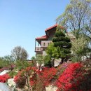 영광 순아골 펜션 이미지