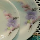 글라스파파 이미지